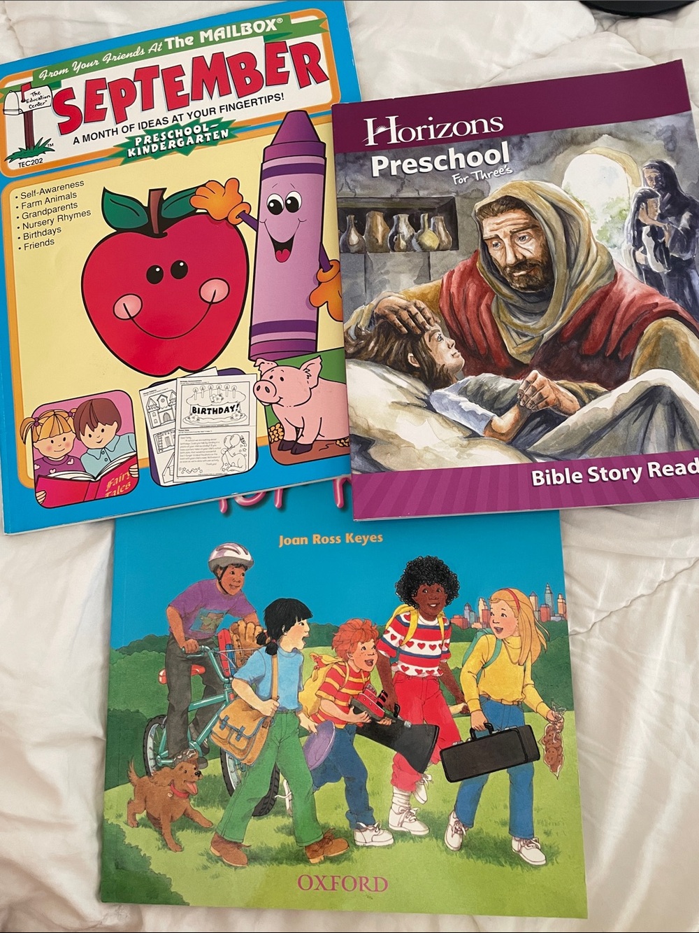 Bundle of preschool homeschool books